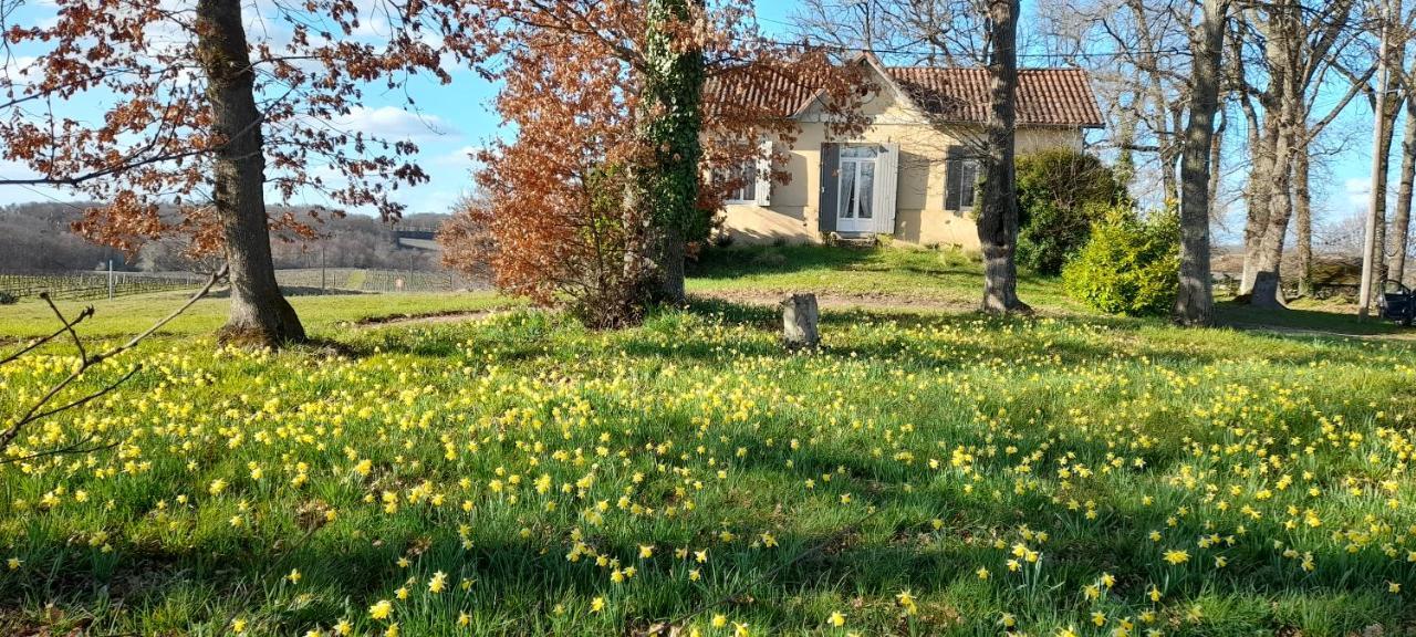 Vila Moulin De Bigorre Saint-Genès-de-Castillon Exteriér fotografie