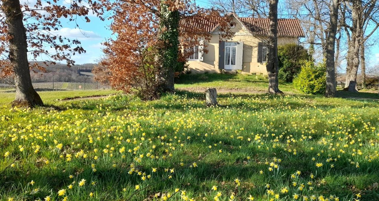 Vila Moulin De Bigorre Saint-Genès-de-Castillon Exteriér fotografie
